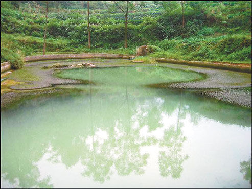 重庆怪湖湖水每天3起3落曾涌起上万条蛇(图)