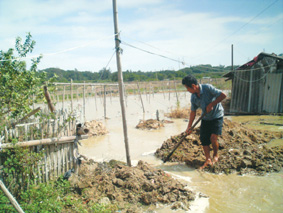 池塘闸门塌方冲毁十亩菜地