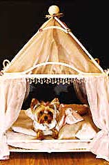 ���ﹷӵ���ϰ��׹��������ʯ����(ͼ)