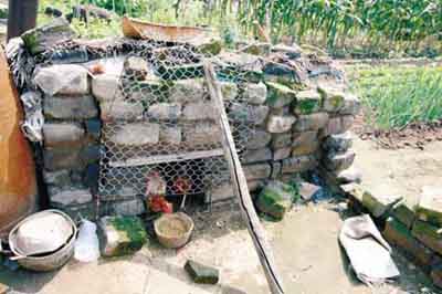 辽东长城烽火台青砖被用来搭鸡舍(图)