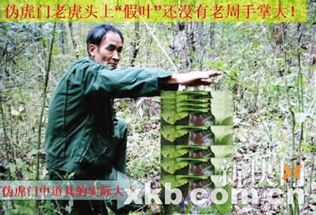 ���ѽ���ٻ��ϻ��¼������Ա�ɽСƷ(ͼ)