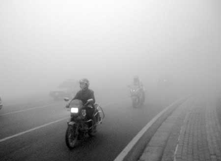 我市昨日上午出现大雾天气(图)