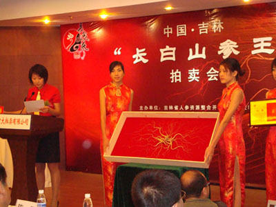 吉林长白山野山参王拍出188万高价(图)
