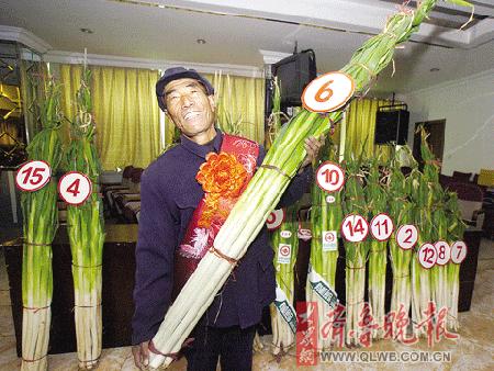 ���������ھ�����2.18��(ͼ)