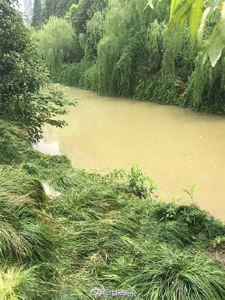 四川卫视女主持佟瑶杭州溺亡