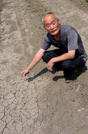 ͼ�ģ����������ɺ�