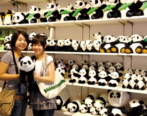 能买到熊猫纪念品
