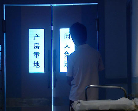 苦涩的禁果(组图)_新闻中心_新浪网