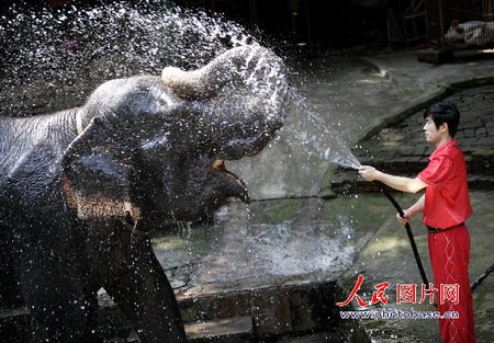 组图：杭州动物园动物降温避暑