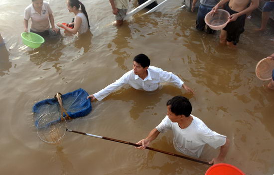 组图:长沙湘江风光带附近惊现鱼群