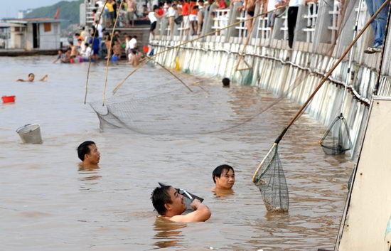组图:长沙湘江风光带附近惊现鱼群