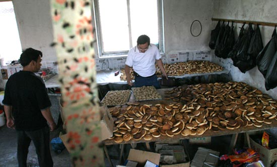 图文:食品加工区苍蝇满屋飞