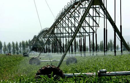 图文:喷灌设施在灌溉玉米