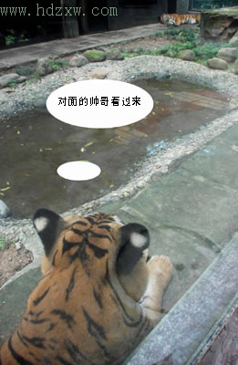 ݶ԰ֻϻԻ顱(ͼ)