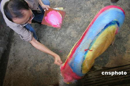 组图:四川美院大学生给两头猪彩绘