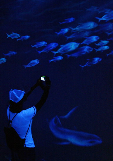 图文:城市表情--荧光鱼