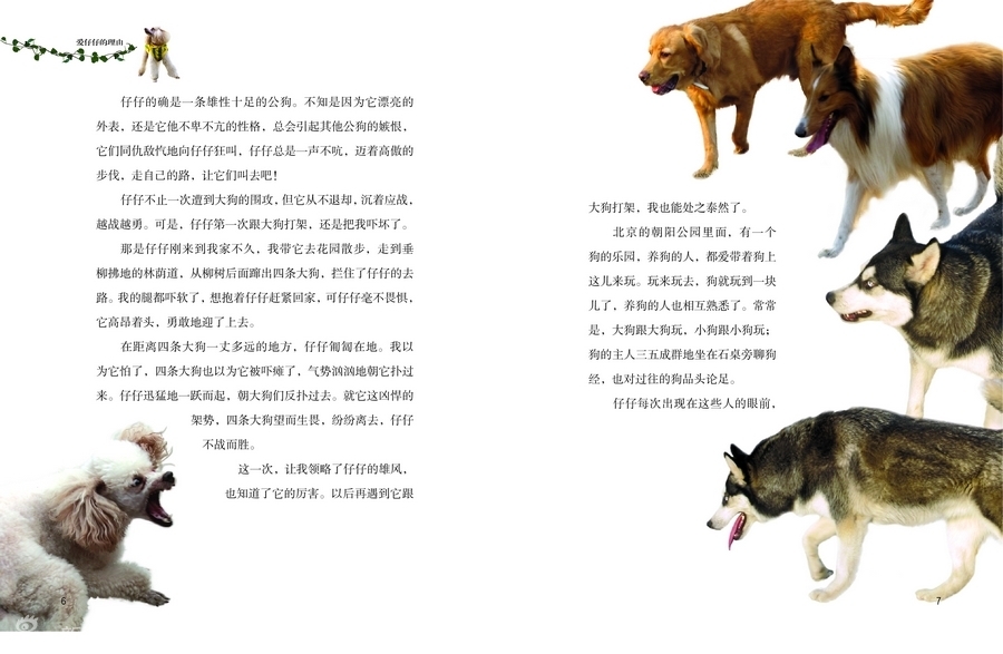 杨红樱作品_杨红樱手抄报_女生日记杨红樱插图_杨红 ...