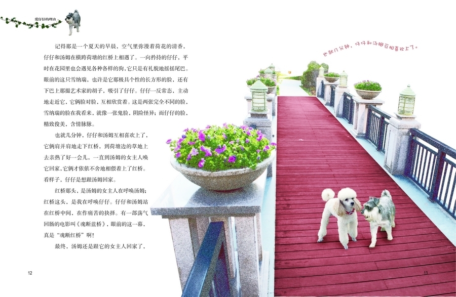 9 《杨红樱画本·好性格系列第二辑》由湖北少年儿童出版社授权选载