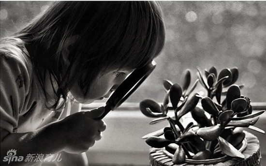 拉科鲁尼亚主场-乐鱼app(leyu)官方网站-乐鱼官网