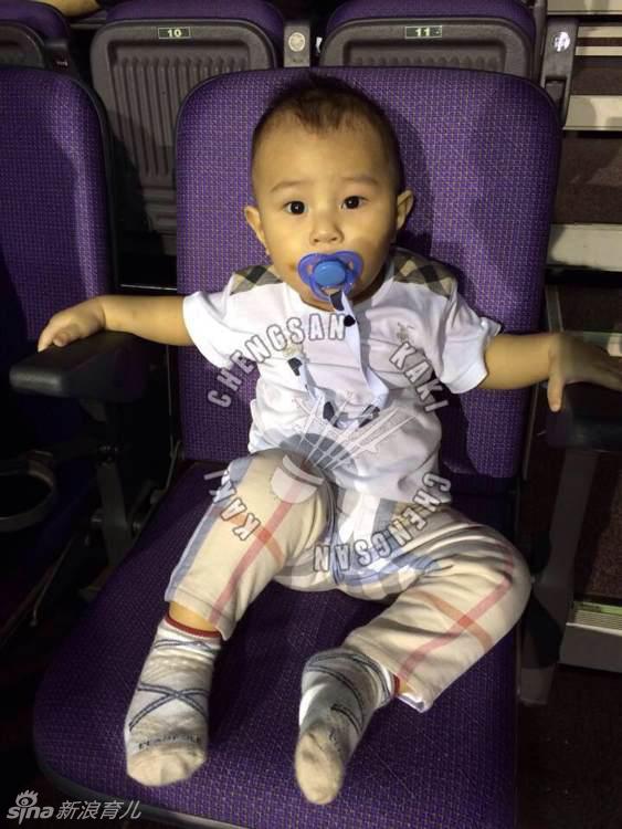 卫视体育台湾-乐鱼app(leyu)官方网站-乐鱼官网