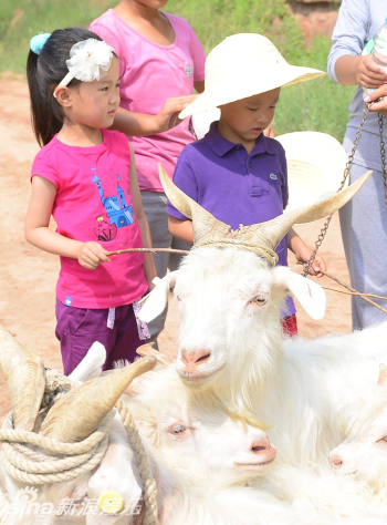 莫德里奇身价-爱游戏App官方下载入口-爱游戏