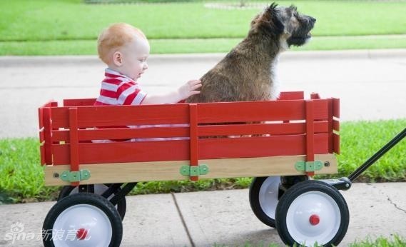 阿根廷vs尼日利亚-乐鱼app(leyu)官方网站-乐鱼官网