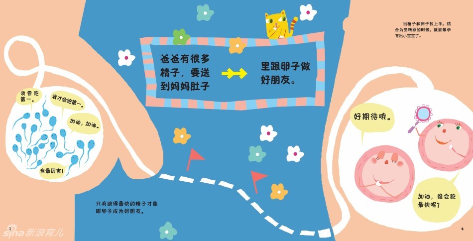 我从哪里来内页