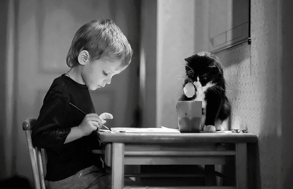 大河球迷论坛-乐鱼app(leyu)官方网站-乐鱼官网