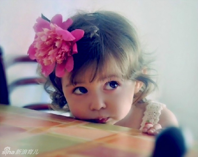 中山雅史-乐鱼app(leyu)官方网站-乐鱼官网