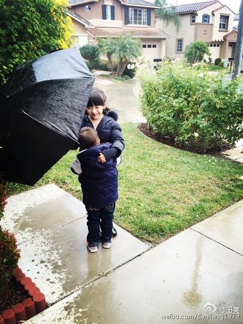 沈阳东进足球俱乐部-乐鱼app(leyu)官方网站-乐鱼官网