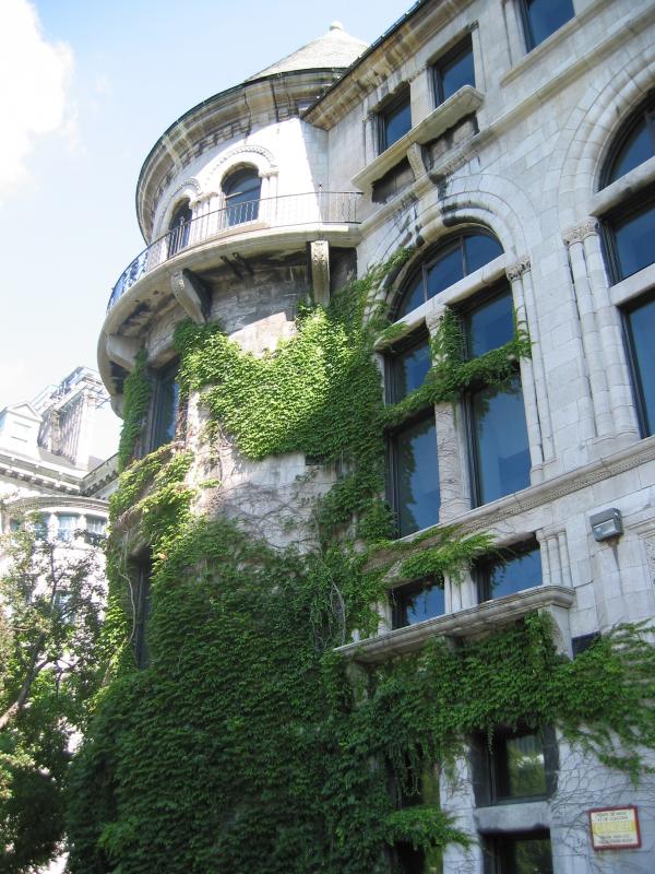 灰姑娘的玻璃筷子_灰姑娘的玻璃手机_灰姑娘