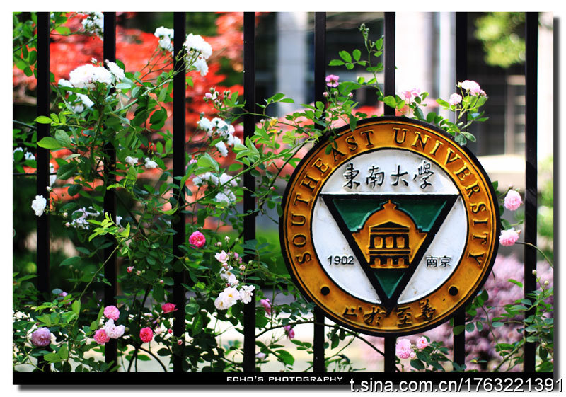 东南大学"微"风景