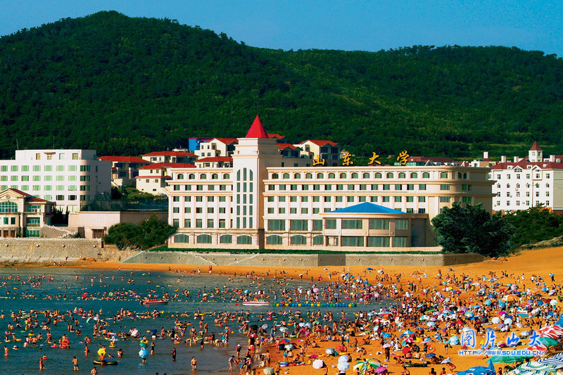 山东大学校园风光:威海分校 - 新闻中心 - 佛山信