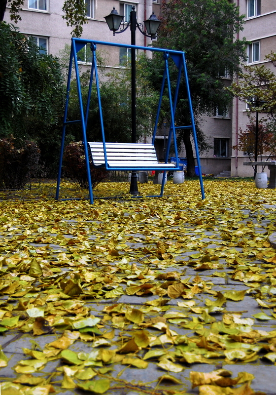 中国政法大学校园风光