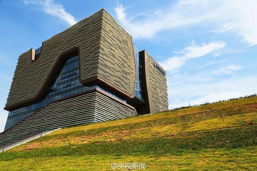 迭戈洛佩斯-乐鱼app(leyu)官方网站-乐鱼官网