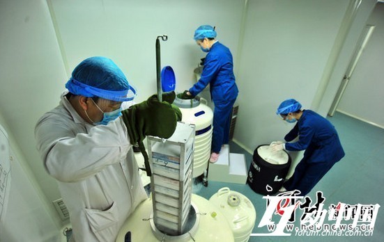 揭秘大学生自愿捐精全过程组图曝光 要求严格致供不应求