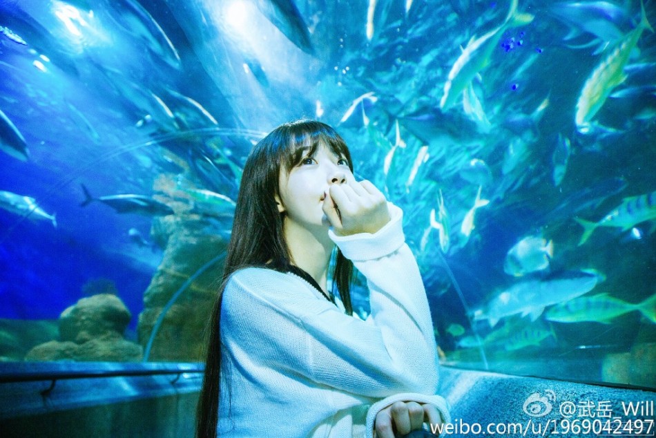 儒尼尼奥s任意球