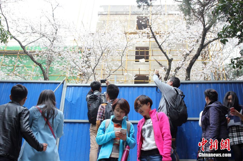 日本球迷吐槽-爱游戏APP（中国）官方网站下载_AIYOUXI体育