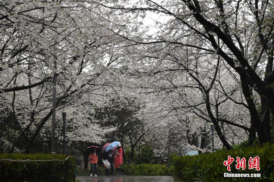 广州恒大vs墨尔本