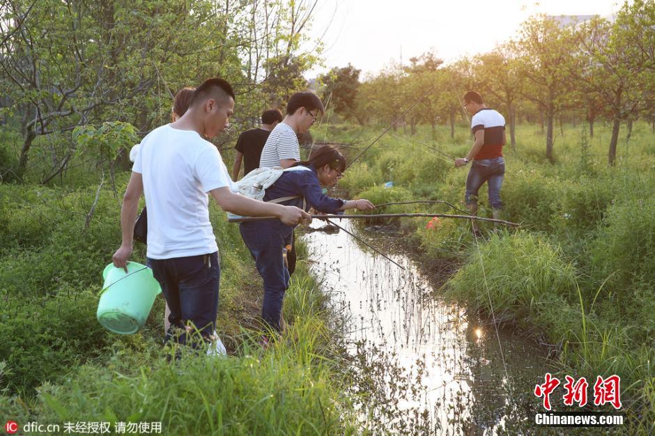 穆尼里奥-乐鱼app(leyu)官方网站-乐鱼官网