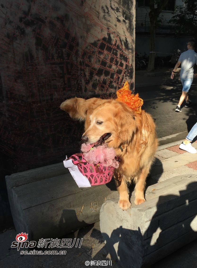 弗格森宣布退休