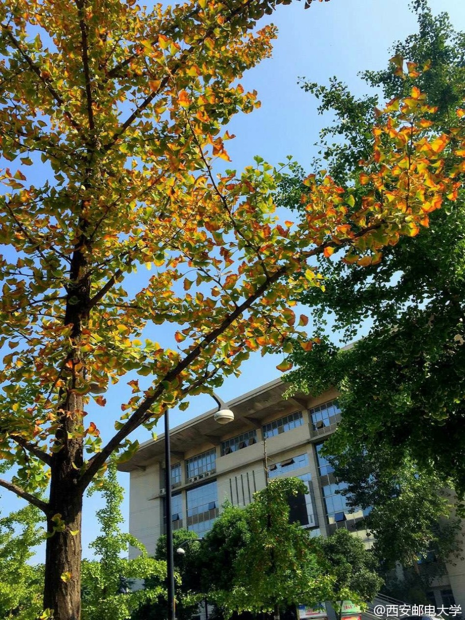 西安邮电大学校园风光