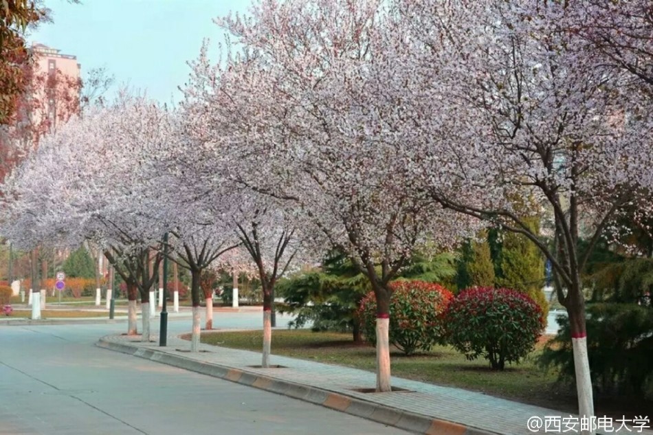 组图:西安邮电大学校园风光