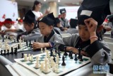 500迷你“小棋士”同场对弈 萌翻众人