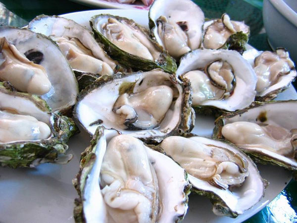广东湛江有多少人口_唯美食和爱情不可辜负 告诉你如何才能让湛江妹觉得幸福(3)