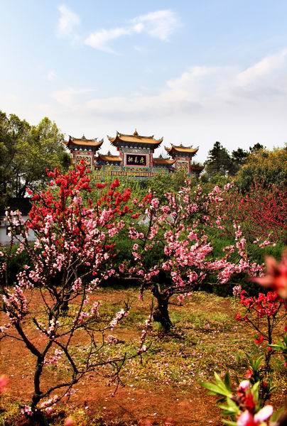 旅游文化 旅游文化-特色旅游 正文 桃源县位于湖南西北部,因东晋