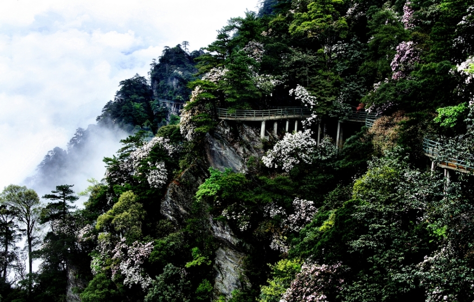 井冈山在江西什么位置 29397_547935_159293.jpg