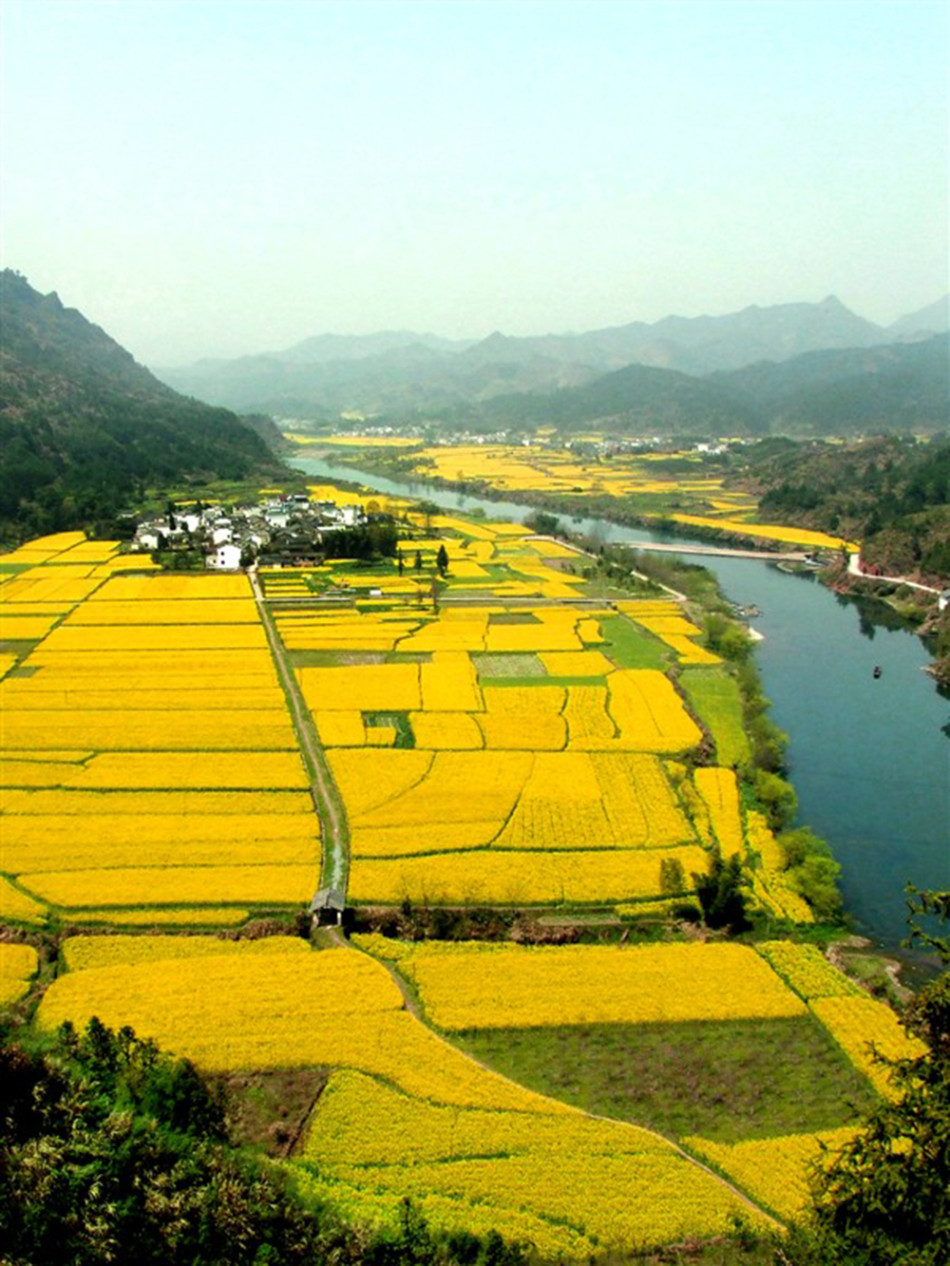 电钢琴和电钢琴曲谱有区别吗(2)