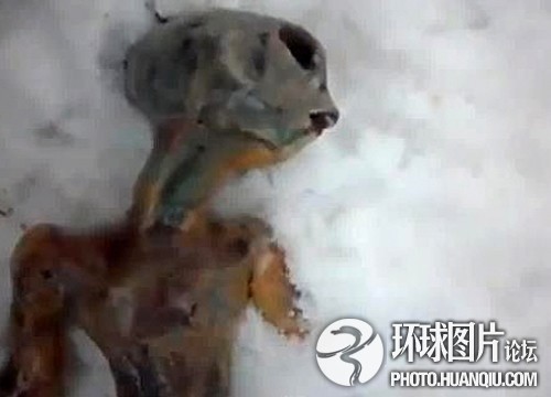 俄罗斯人口数量2011_股债汇三杀下的俄罗斯,家底有多少