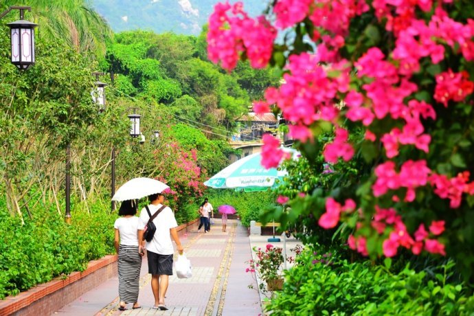 厦门铁路公园婚纱照_带着白纱自驾厦门 中山路 厦大 环岛路 铁路公园行走 自拍婚纱照(2)